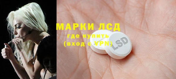 apvp Кукмор
