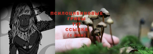а пвп мука Куйбышев