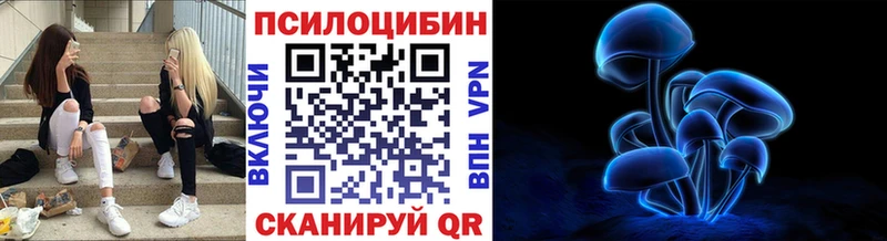 Псилоцибиновые грибы Cubensis  Купить где  Балашиха 